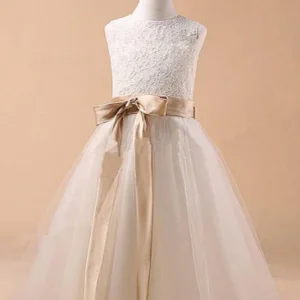Wedding Party Dresses import placeholder for ball gown jewel sleeveless bowknot long 160221062