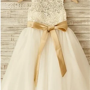 Wedding Party Dresses import placeholder for a line scoop sleeveless bowknot floor le 160221042