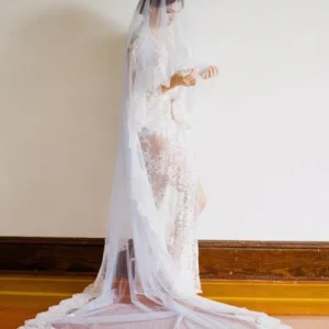 Accessories import placeholder for 1t tulle with lace wedding bridal veil c 160220966