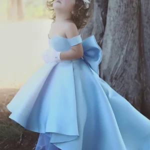 import placeholder for princess sky blue satin ball gown flower 160220940